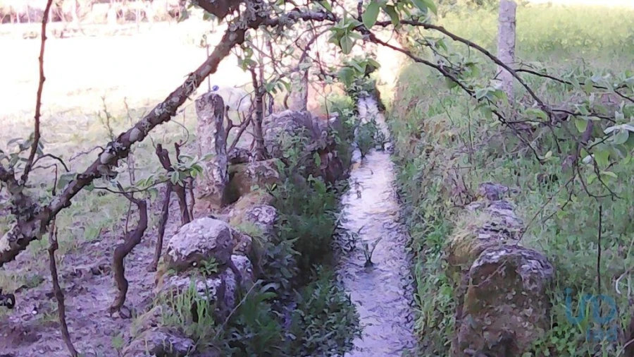 Terreno para Venda em Moimenta da Serra e Vinhó