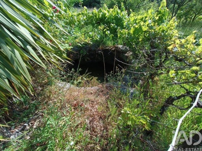 Terreno para Venda em Moimenta da Serra e Vinhó Foto 18