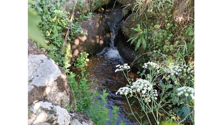 Terreno para Venda em Moimenta da Serra e Vinhó Foto 13