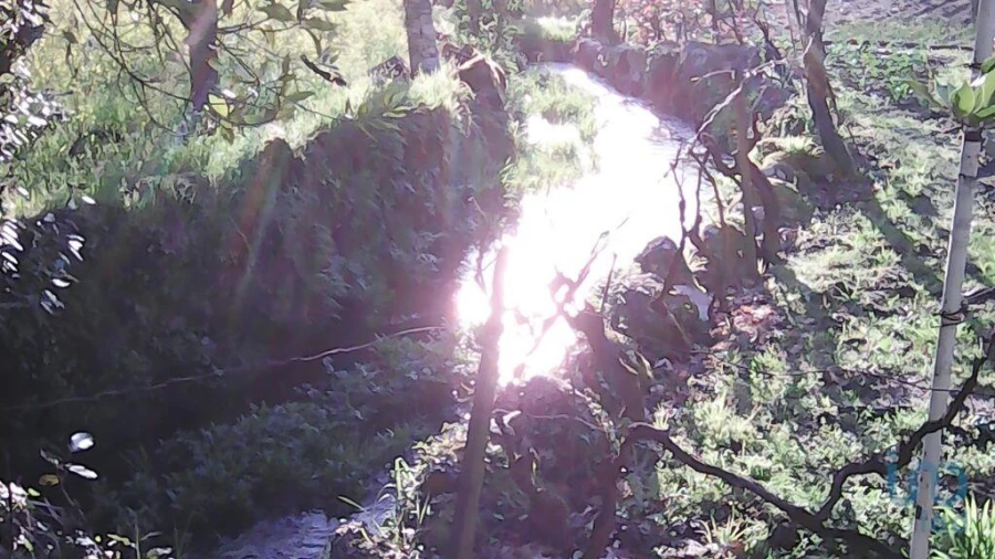 Terreno para Venda em Moimenta da Serra e Vinhó Foto 2