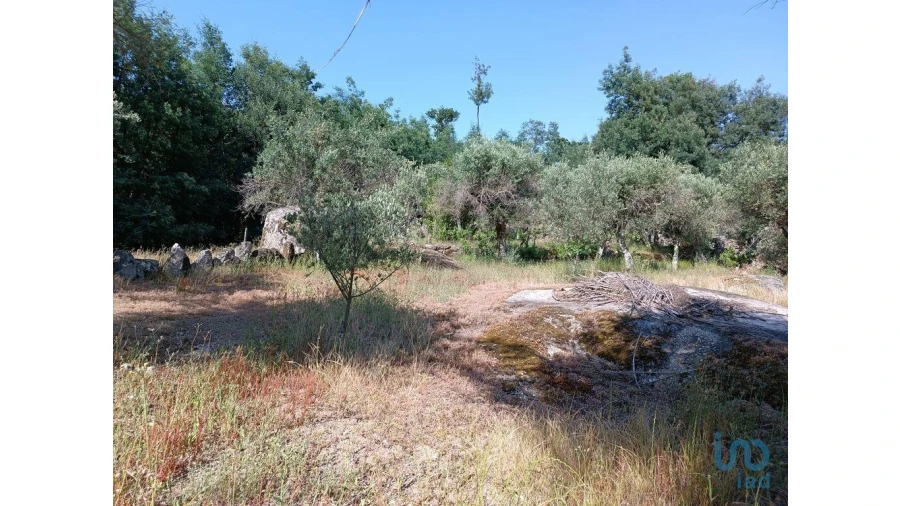 Terreno para Venda em Moimenta da Serra e Vinhó Foto 11