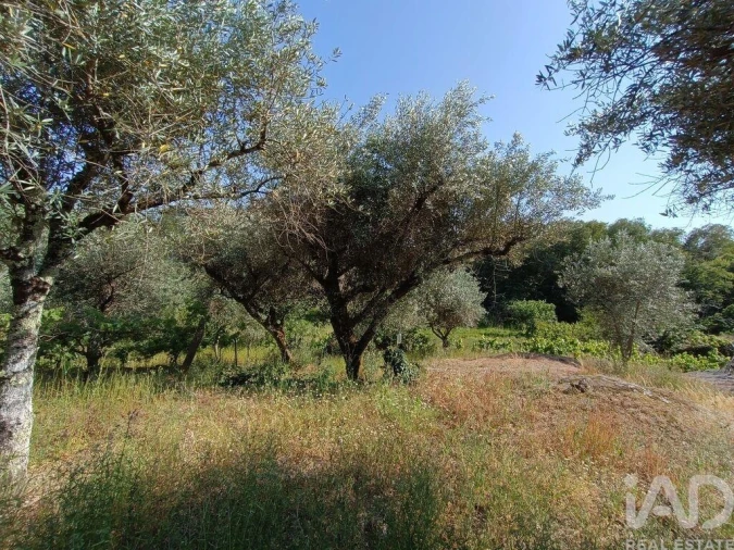 Terreno para Venda em Moimenta da Serra e Vinhó Foto 19