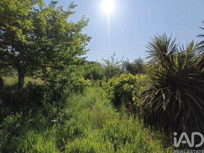 Terreno para Venda em Moimenta da Serra e Vinhó Foto 16