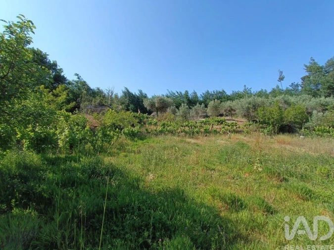 Terreno para Venda em Moimenta da Serra e Vinhó Foto 17