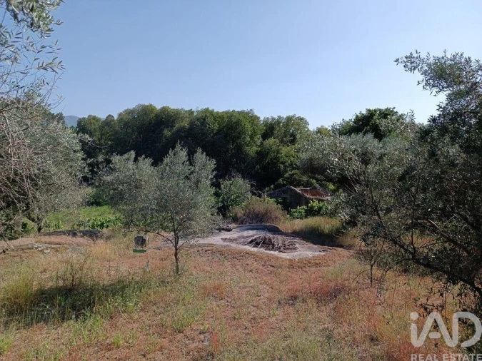 Terreno para Venda em Moimenta da Serra e Vinhó Foto 23