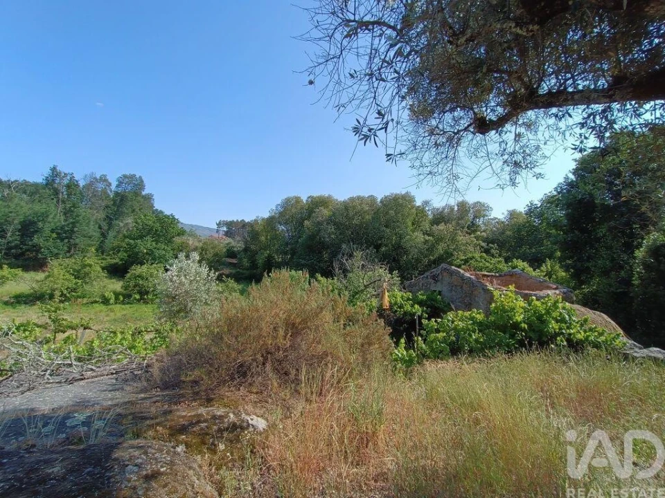 Terreno para Venda em Moimenta da Serra e Vinhó Foto 24