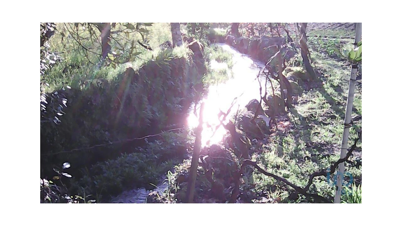 Terreno para Venda em Moimenta da Serra e Vinhó Foto 2