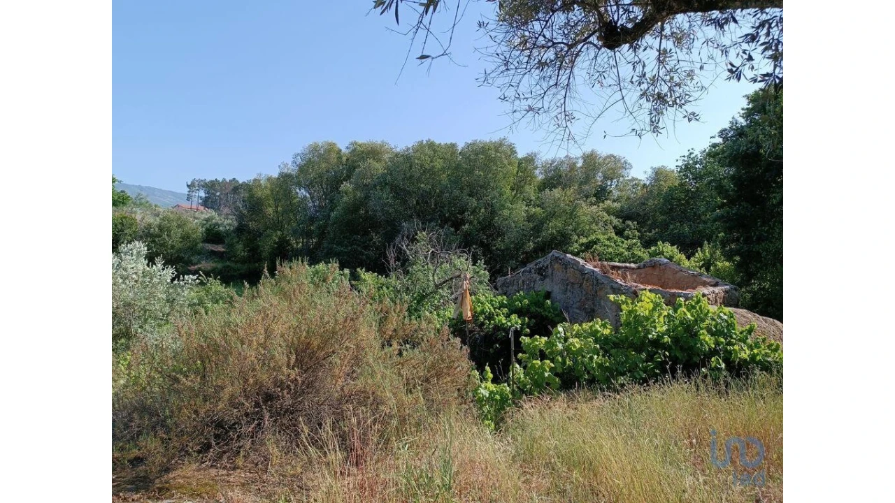 Terreno para Venda em Moimenta da Serra e Vinhó Foto 12