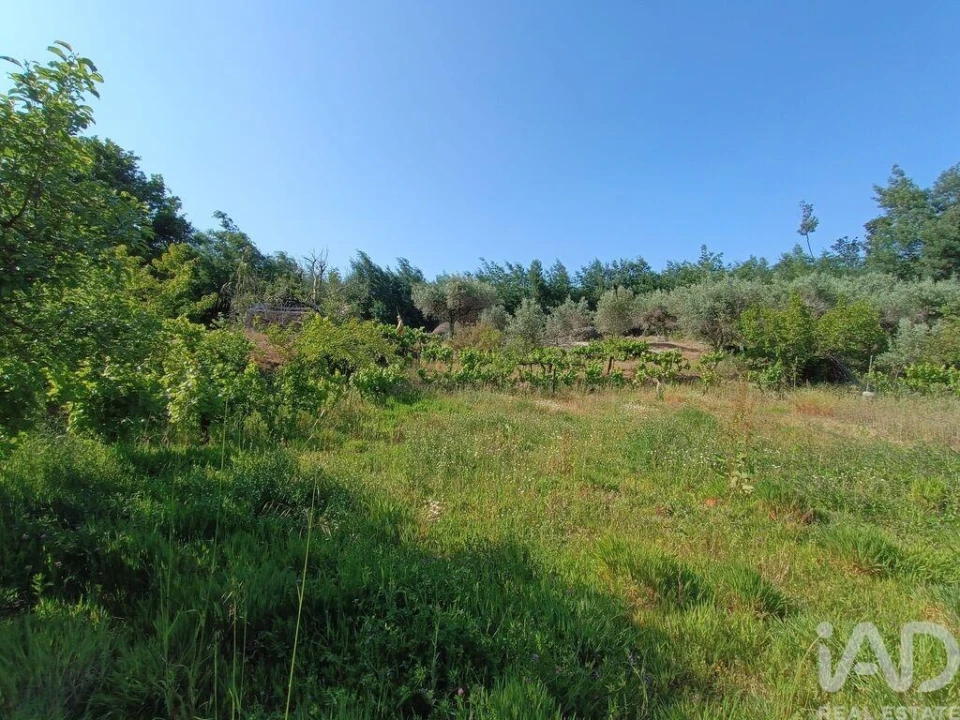 Terreno para Venda em Moimenta da Serra e Vinhó Foto 17