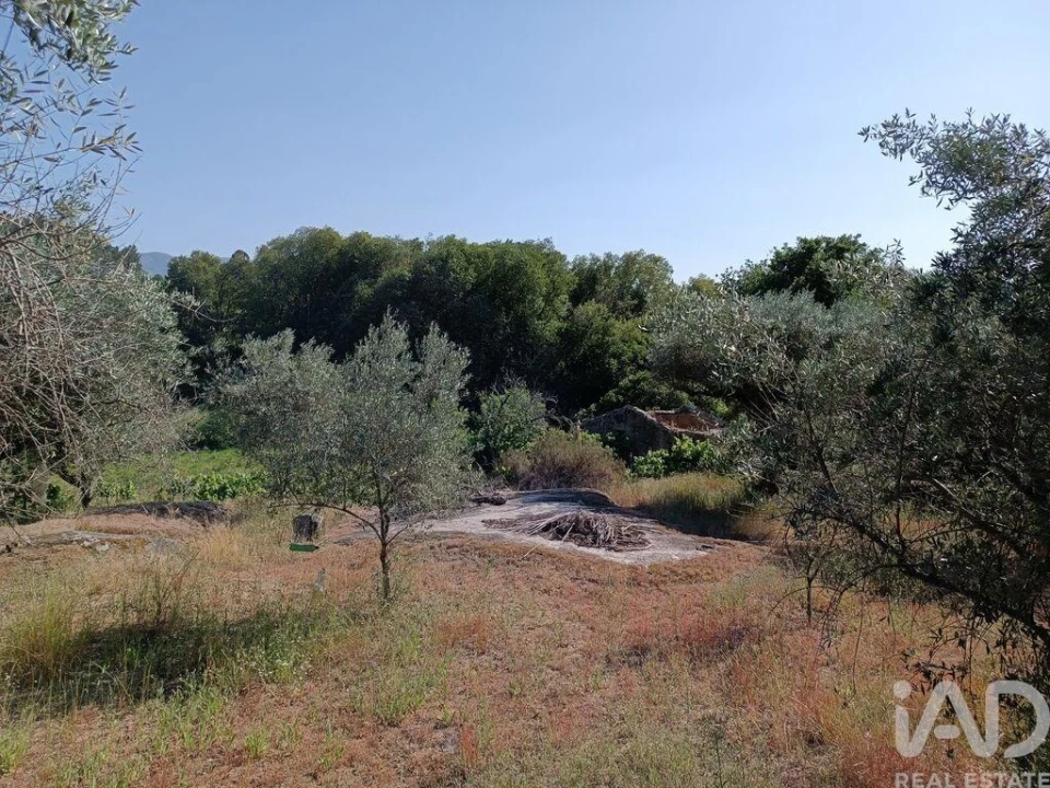 Terreno para Venda em Moimenta da Serra e Vinhó Foto 23