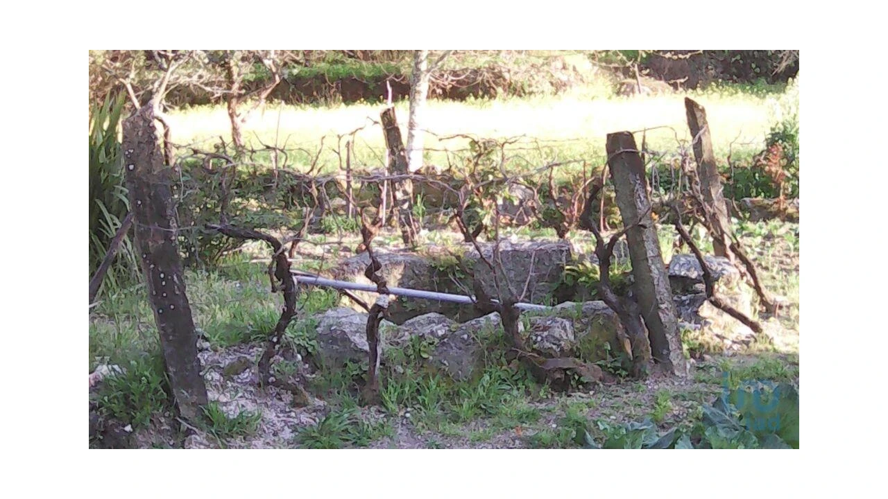 Terreno para Venda em Moimenta da Serra e Vinhó Foto 4