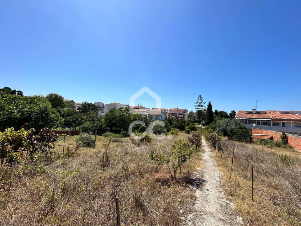 Terreno para Venda em São Martinho do Bispo e Ribeira de Frades Foto 1