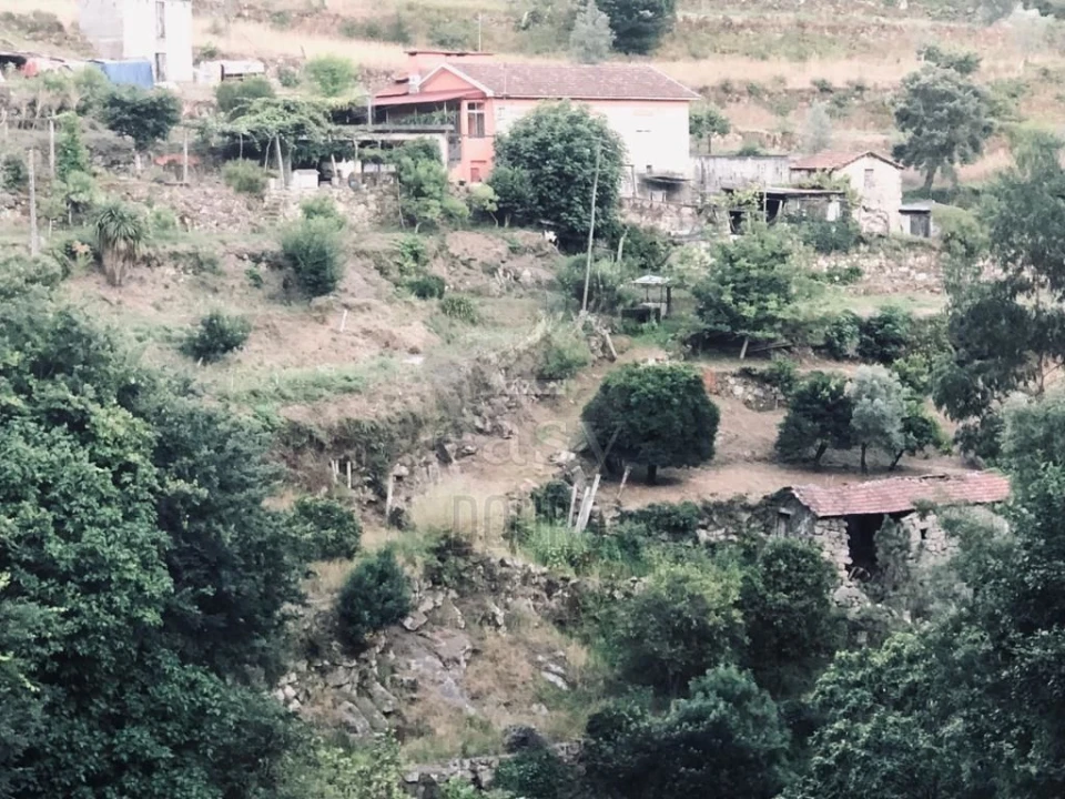 Terreno para Venda em Termas de São Vicente Foto 56