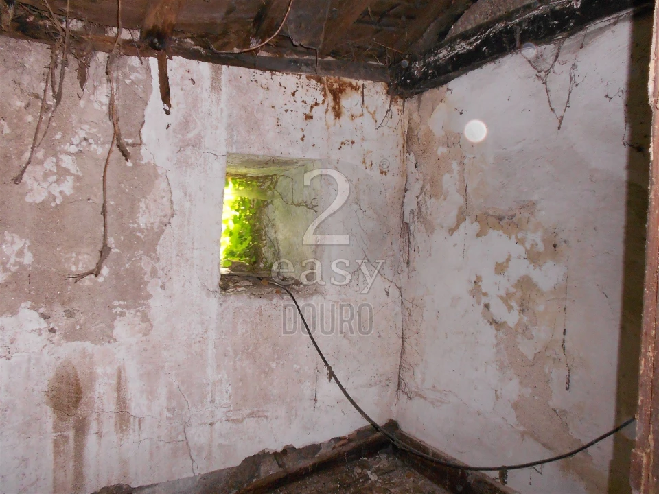 Terreno para Venda em Termas de São Vicente Foto 12