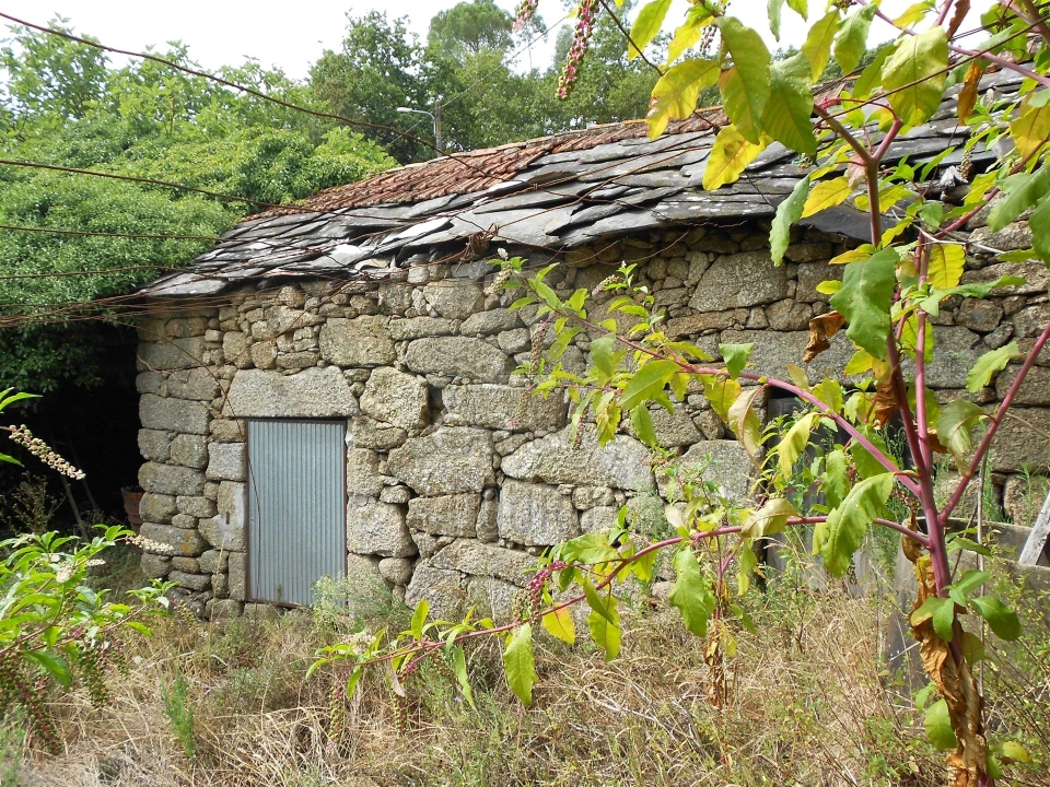 Terreno para Venda em Termas de São Vicente Foto 20