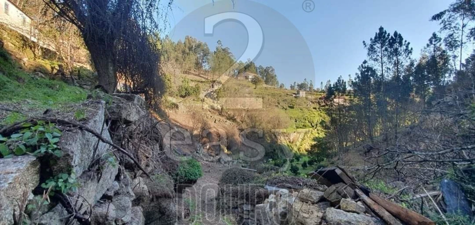 Terreno para Venda em Termas de São Vicente Foto 41