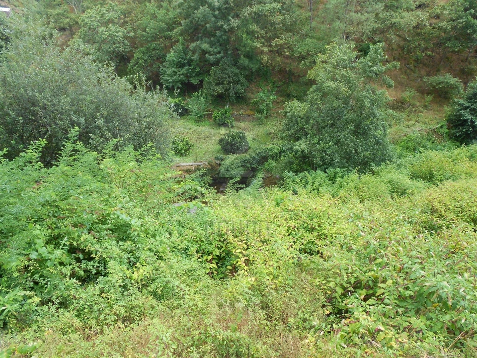 Terreno para Venda em Termas de São Vicente Foto 48