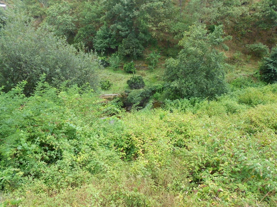 Terreno para Venda em Termas de São Vicente Foto 60
