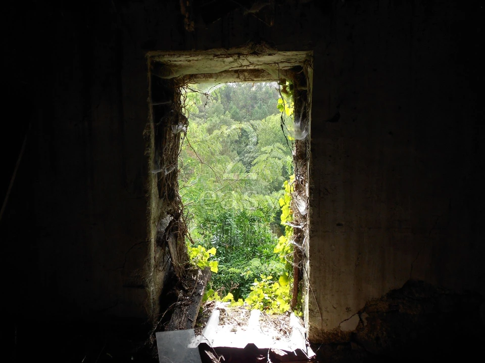 Terreno para Venda em Termas de São Vicente Foto 14