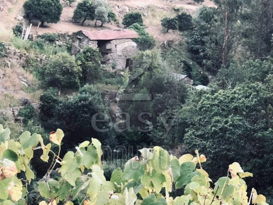 Terreno para Venda em Termas de São Vicente Foto 45