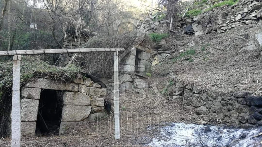 Terreno para Venda em Termas de São Vicente Foto 32