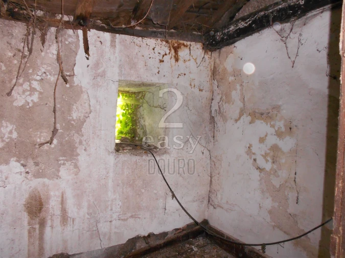 Terreno para Venda em Termas de São Vicente Foto 12