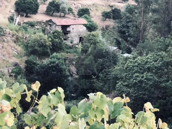 Terreno para Venda em Termas de São Vicente Foto 58