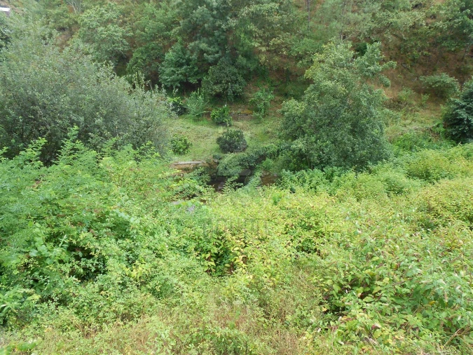 Terreno para Venda em Termas de São Vicente Foto 48