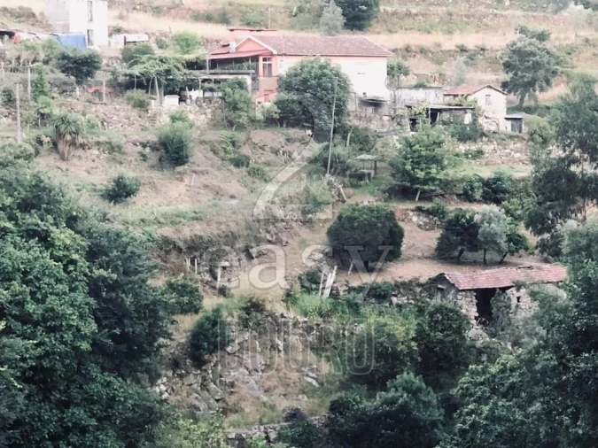 Terreno para Venda em Termas de São Vicente Foto 44