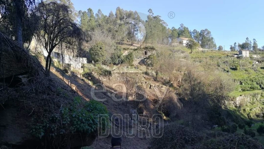 Terreno para Venda em Termas de São Vicente Foto 35