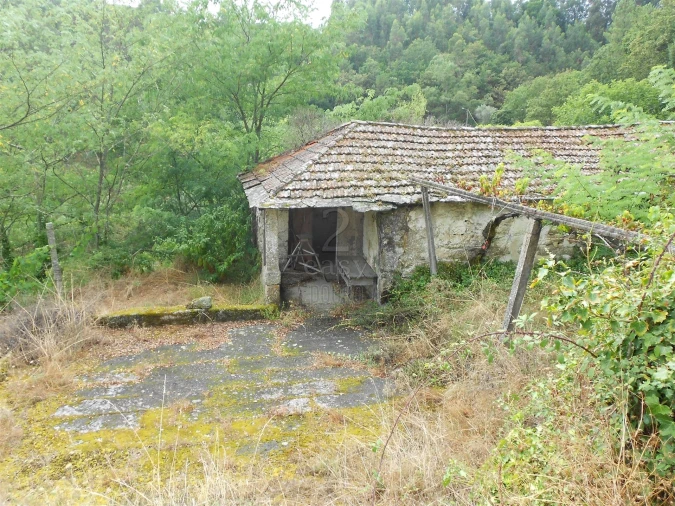 Terreno para Venda em Termas de São Vicente Foto 65