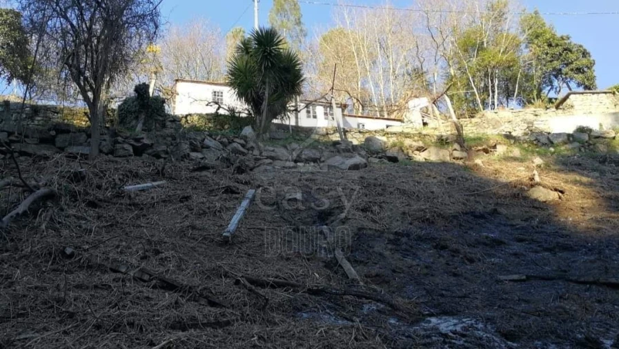 Terreno para Venda em Termas de São Vicente Foto 68