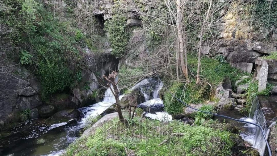 Terreno para Venda em Termas de São Vicente Foto 33
