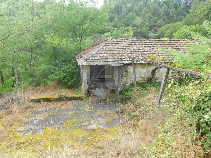 Terreno para Venda em Termas de São Vicente Foto 2