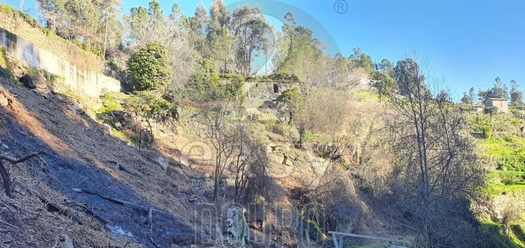 Terreno para Venda em Termas de São Vicente Foto 7