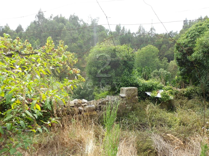 Terreno para Venda em Termas de São Vicente Foto 22