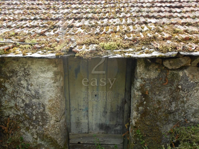 Terreno para Venda em Termas de São Vicente Foto 31