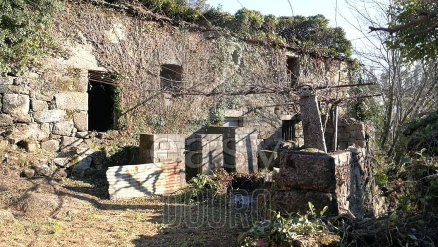 Terreno para Venda em Termas de São Vicente Foto 38
