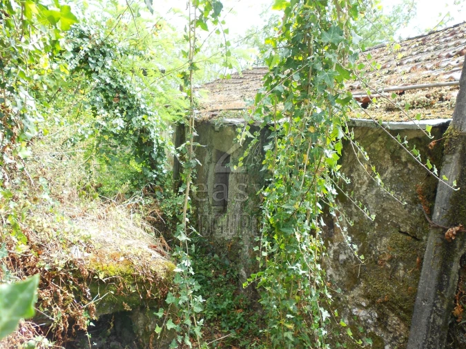 Terreno para Venda em Termas de São Vicente Foto 30