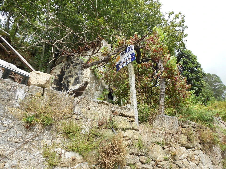 Terreno para Venda em Termas de São Vicente Foto 62