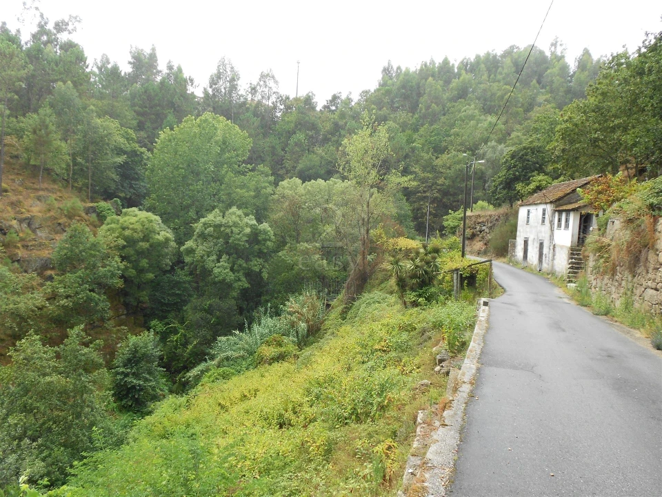 Terreno para Venda em Termas de São Vicente Foto 59