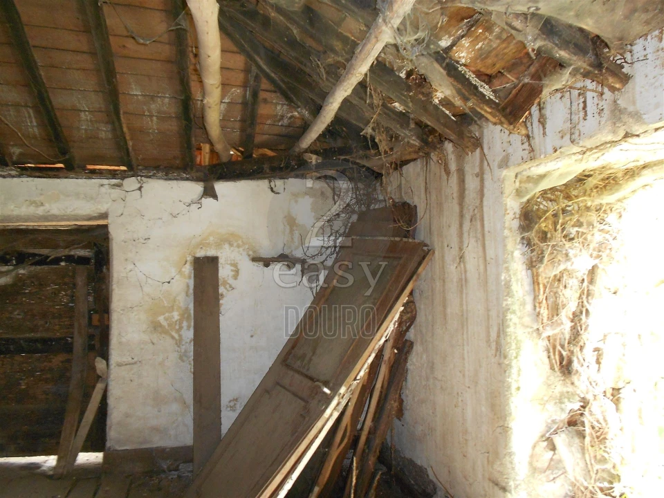 Terreno para Venda em Termas de São Vicente Foto 15