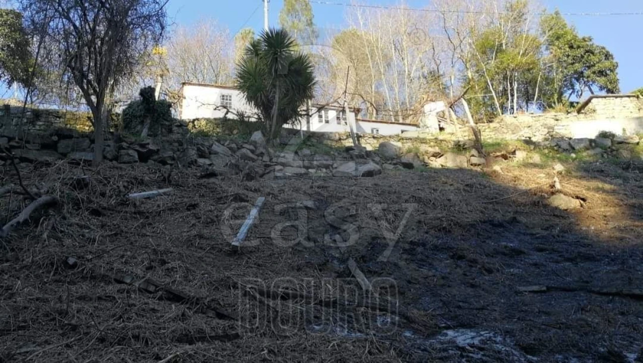 Terreno para Venda em Termas de São Vicente Foto 55