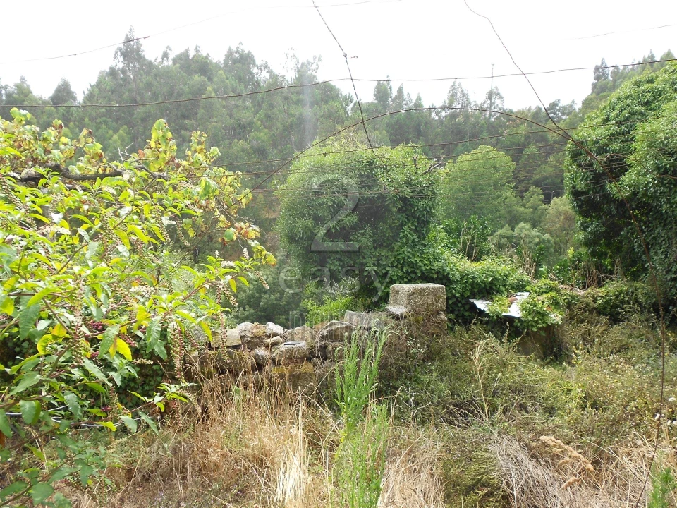 Terreno para Venda em Termas de São Vicente Foto 22