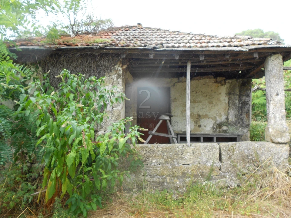 Terreno para Venda em Termas de São Vicente Foto 66