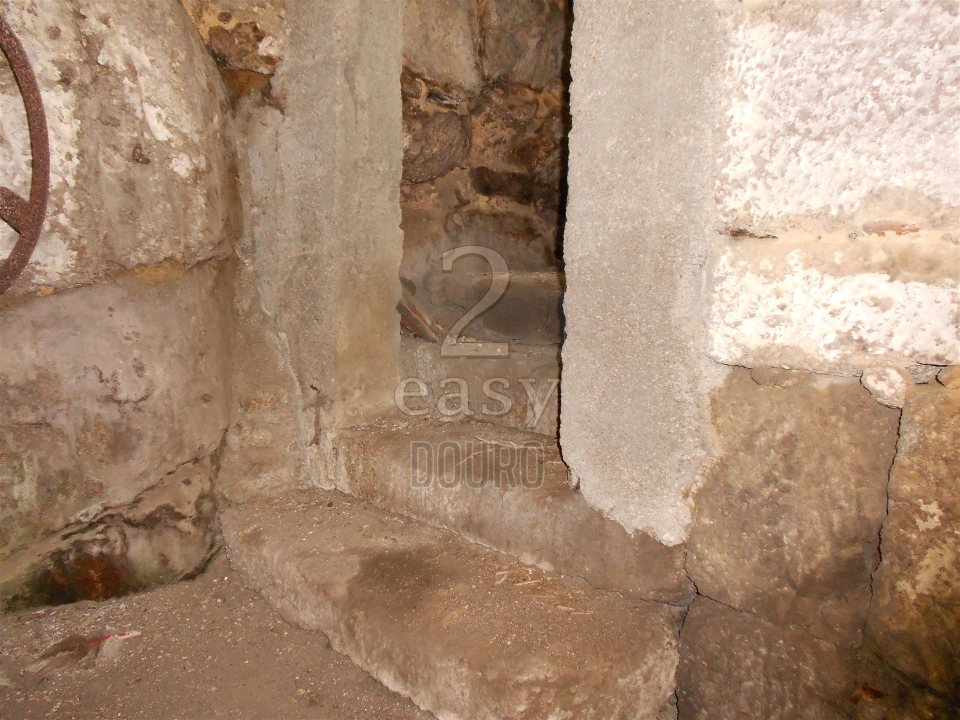 Terreno para Venda em Termas de São Vicente Foto 27