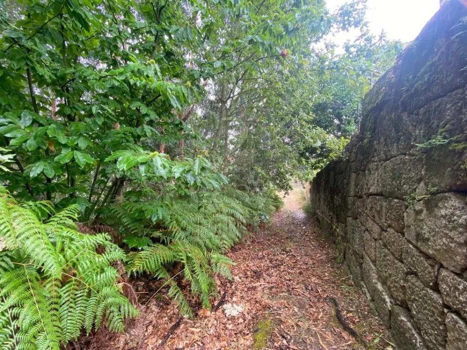 Terreno para Venda em Termas de São Vicente Foto 21