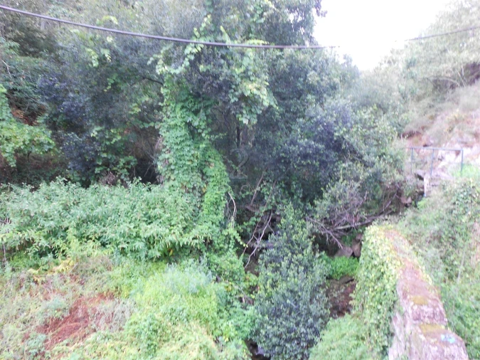 Terreno para Venda em Termas de São Vicente Foto 15