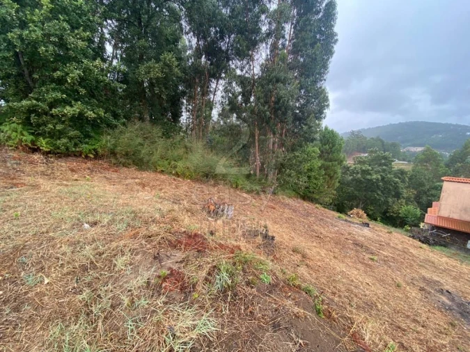 Terreno para Venda em Termas de São Vicente Foto 17