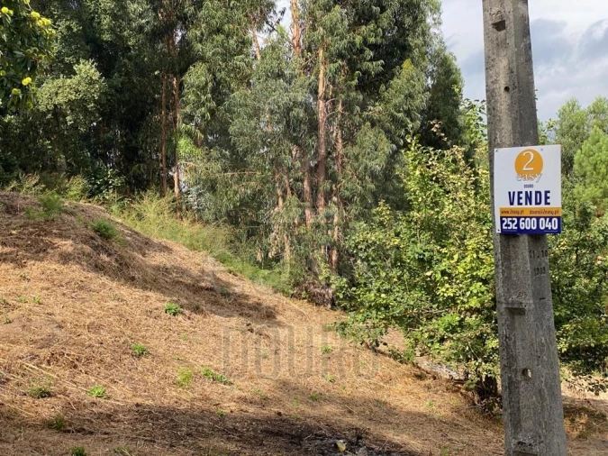 Terreno para Venda em Termas de São Vicente Foto 11